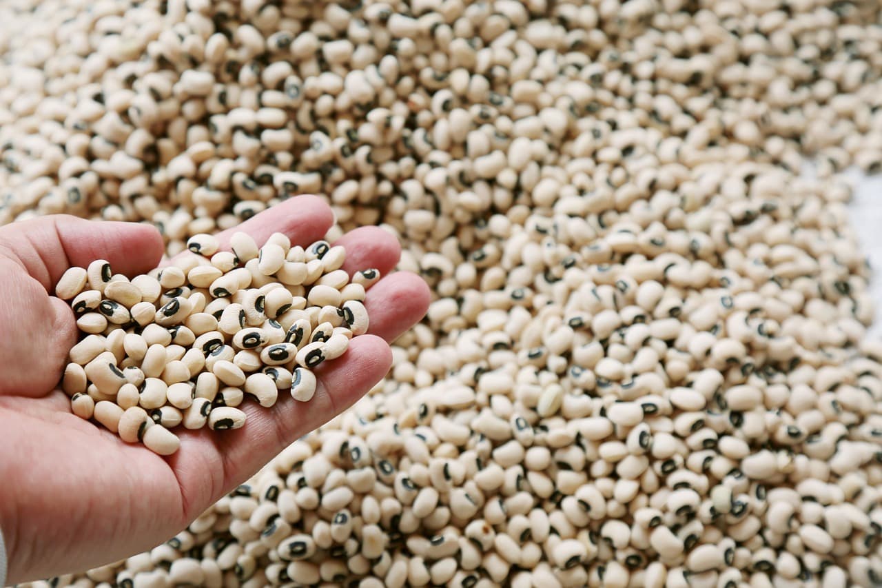 About Straight Line Solutions